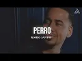Download Lagu Romeo Santos - Perro (Letra)