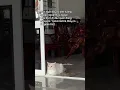 Download Lagu #cat #catvideos #munchkinfold #pets #matercat #meow #munchkin #cute #cutecat #funny
