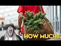 How Much Weed Can ONE Cannabis Plant Produce w Chad Westport