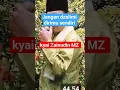 Download Lagu Jangan dzolimi dirimu sendiri ( kyai Zainudin MZ )#motivation #ceramahkyaiZainudinmz#islam