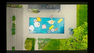 Imagen número 6