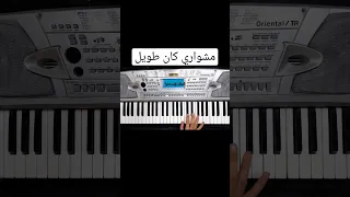 عزف مهرجان دنيا معفرة  مشواري كان طويل  عصام صاصا دندنها