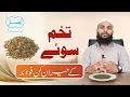 Download Lagu Tukham e Soye ke Fayde | Benefits of Dill Seeds