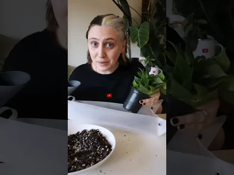 @GoodGrowing is the plant caretaker we all needed 🌿 #makeitonyoutube #AD