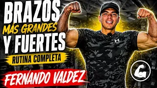 CRECE TUS BRAZOS CON ESTA RUTINA 💪🏾  / FERNANDO VALDEZ