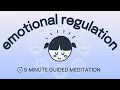 5 Minute Emotional Regulation Meditation