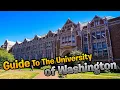 The University of Washington System All 3 Campuses