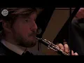 Jean Sibelius - Symphony No 1 in E minor, Op 39 - Järvi