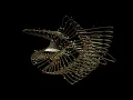 Math Flower - Procedural Animation in Houdini 3D