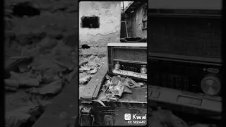 يارسول الله يارمز الفلاح 