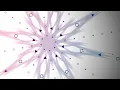 Empower by Jolly Jack Project Arrhythmia