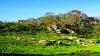 هب البراد وحان وقت المطاريش     شيله   دندنها