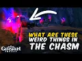 What are these red blue black things in the Chasm Genshin Impact