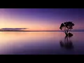 Sam Feldt - Post Malone feat RANI Cat Dealers Extended Remix