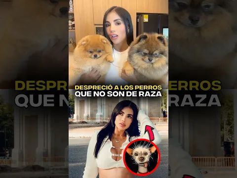 Desprecio a los perros que no son de raza.