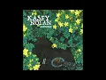 Kasey Nolan - We Hope To See You Again