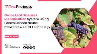Grape Leaf Diseases Identification System Using Convolutional Neural Networks and LoRa Technology
