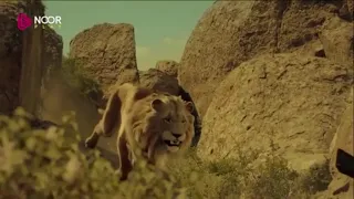 جلال الدين خوارزم شاه عندما يكون الآمير آميراا 