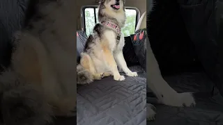 Epic Companion Hard Bottom Seat Covers