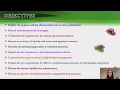 Cybersecurity Assurance Chapter 14 Intro - Technical Security Management
