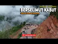 Binuang Berselimut Kabut - Petualangan Seru di Jalan Bayang Alpa