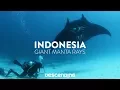 DESCENDING 4K S1 E12 The Giant Manta Rays