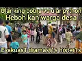 Lagu HEBOH DESA KOTA GARO EVAKUAS1 ULAR KING COBRA MAK4N ULAR PYTHON DI SAKSIKAN PULUHAN WARGA