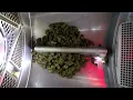 Death Grips - Hustle Bones (Official video)