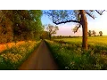 Download Lagu 30 Minutes Workout - Virtual Scenery - Treadmill / Exercise Machine (Cotswolds UK) 1080/60fps