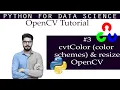 OpenCV Tutorial cvtColor color schemes and resize function OpenCV in Python