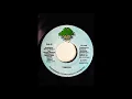 Download Lagu Wave Of The Crosses Riddim Mix (HMG Records, 1999)