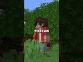 Play with your Bedrock Edition friends on Java Edition with Lunar Client s Hosted Worlds