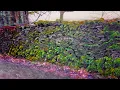 Download Lagu LSD trippy visuals 4k | Magical Stroll