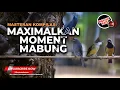 Download Lagu 🔴 Live Kompilasi Masteran Kasar Roll Tembak Cucak Cungkok Cucak Jenggot \u0026 Srigunting Abu Abu