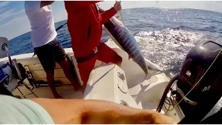 BAHAMAS FOR JUST A DAY! (It Paid Off Huge!)