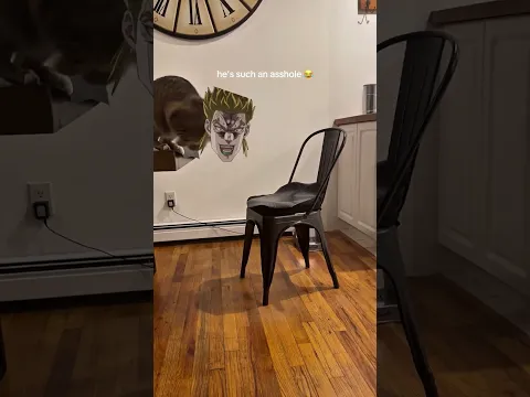 DIO VS Jotaro