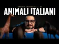 Quattro storie INCREDIBILI di ANIMALI ITALIANI