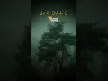 Download Lagu Jis Biwi Ne Apne Sohar Ki  Burai Ki | ajmal raza qadri | #short #status #bayan