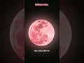 Download Lagu The Miracle of God which Done by Hazrat Muhammad S.A.W/Muslim Aura/#trending #viral