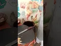 Remove Chicken Skin Easily Beginner Friendly Guide