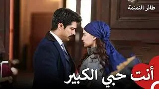 الحب المثير للغيرة | طائر النمنمة
