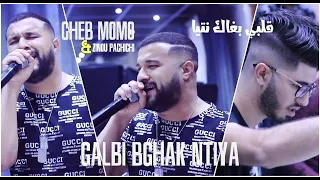 Cheb Momo Ft Zinou Pachichi Galbi Bghak Ntiya قلبي بغاك نتيا Live 2019 