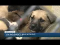 Tulsa Animal Welfare implements new initiative