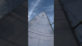 New Mainsail North Sails