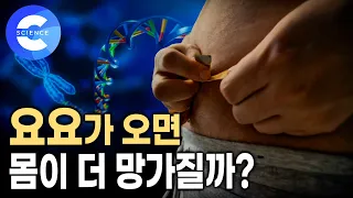 실패해도 다이어트에 계속 도전해야 하는 이유 | 요요의 누명 | 반전의 다이어트 상식 | 지식채널e