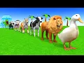 Download Lagu Long Slide Game with Cow Elephant Gorilla Hippopotamus Tiger 3d Animal Game Funny 3d Animals