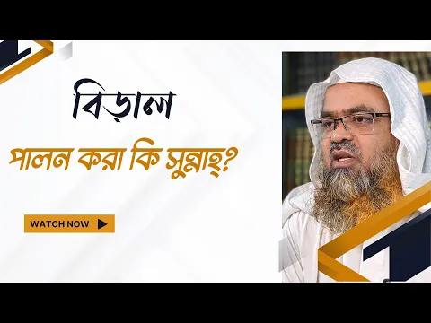 প্রশ্ন : বিড়াল পালন করা কি সুন্নাহ্‌?