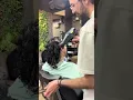 City Center Barbershop hairstyling by Andreas