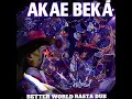 Better World Rasta Dub