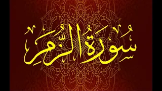 Okasha Kameny سورة الزمر برواية السوسي عن أبي عمرو البصري الشيخ عكاشة كميني 